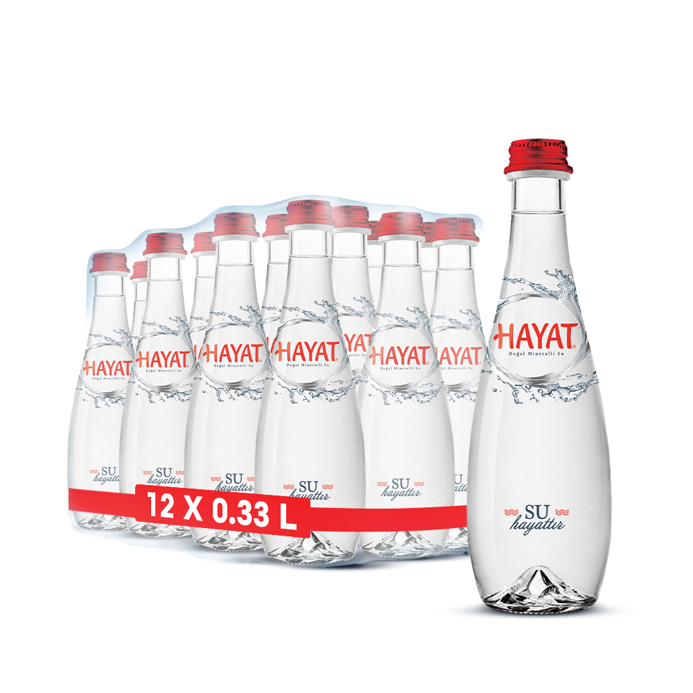 Hayat 330 ml Cam Su