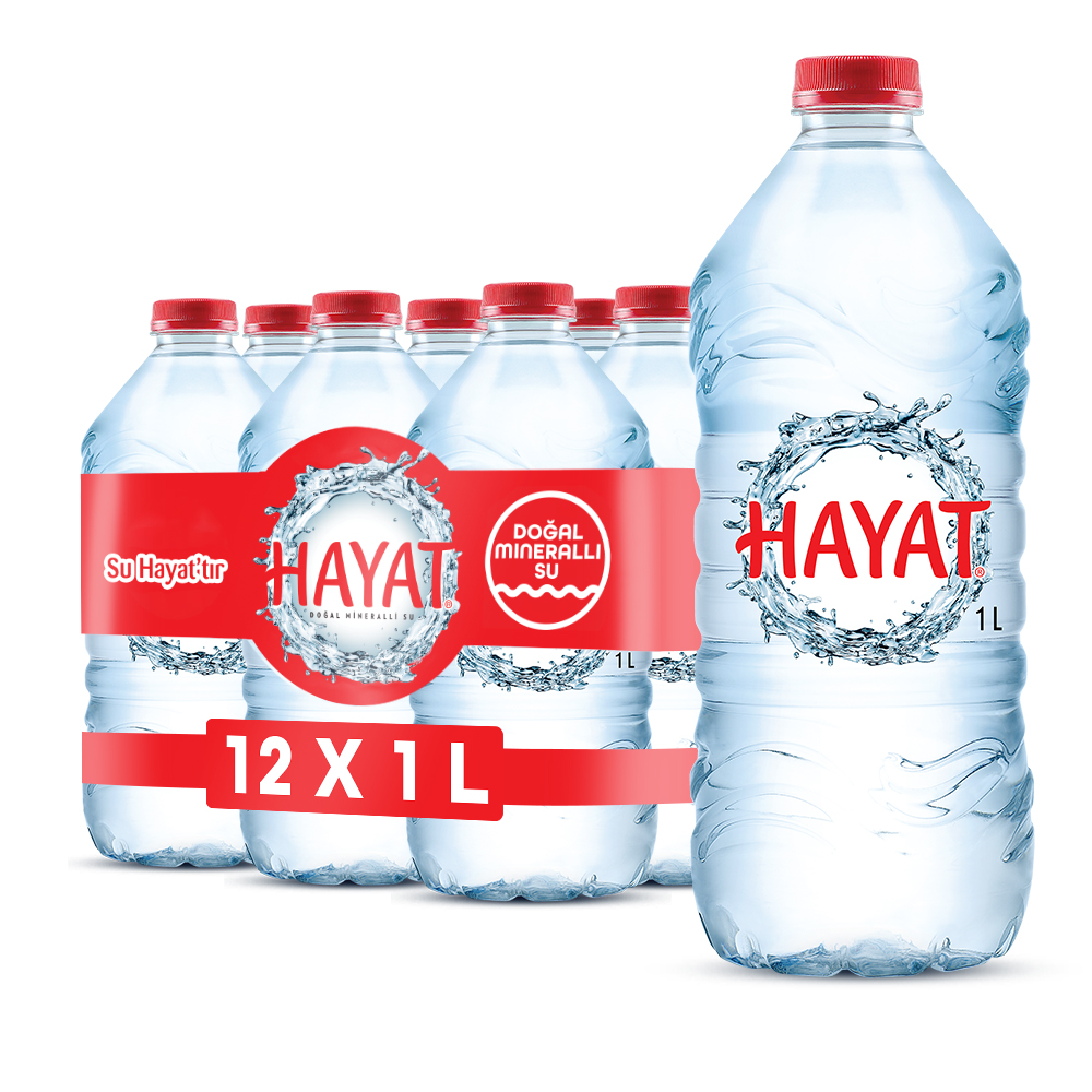Hayat 1L*12