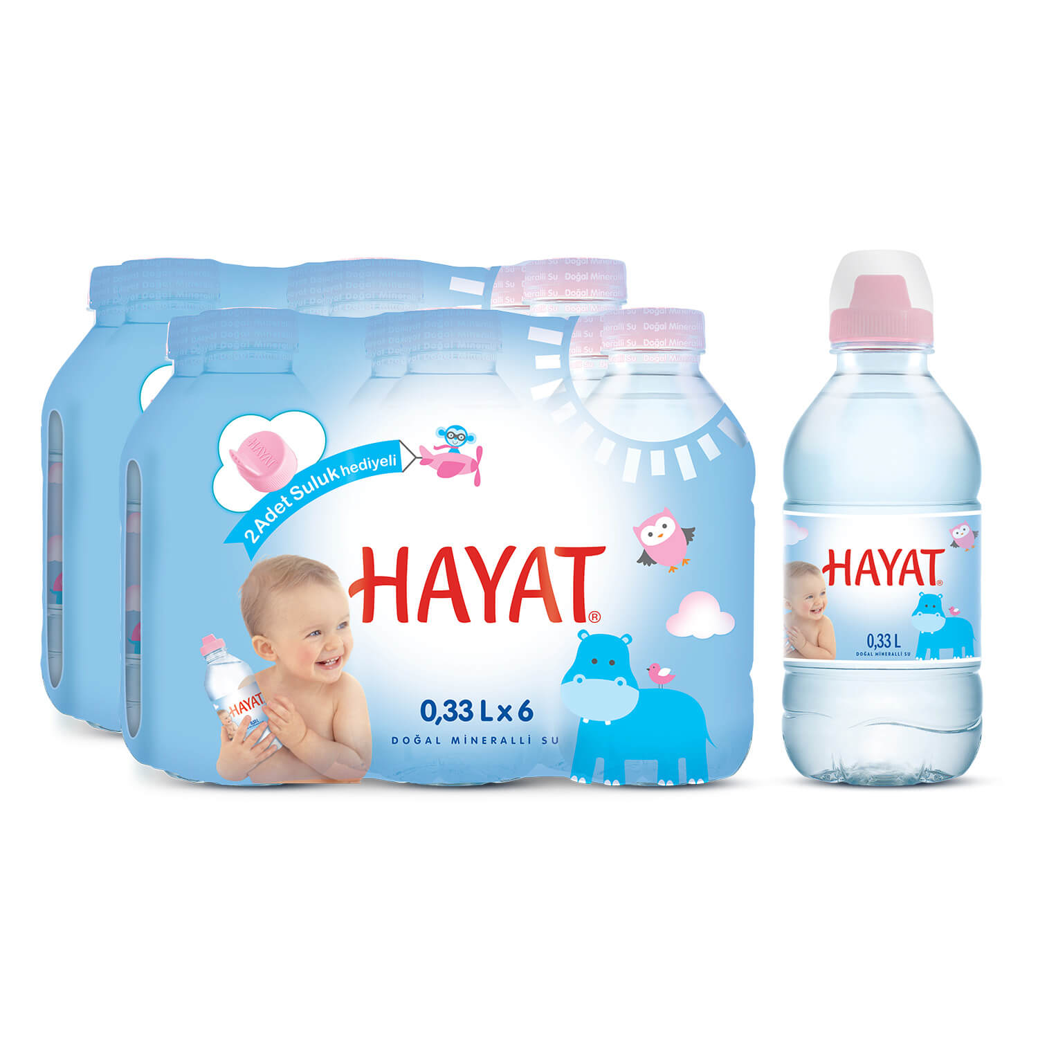Hayat Küçük Çocuklara Özel Ambalajlı Su 0.33L * 12