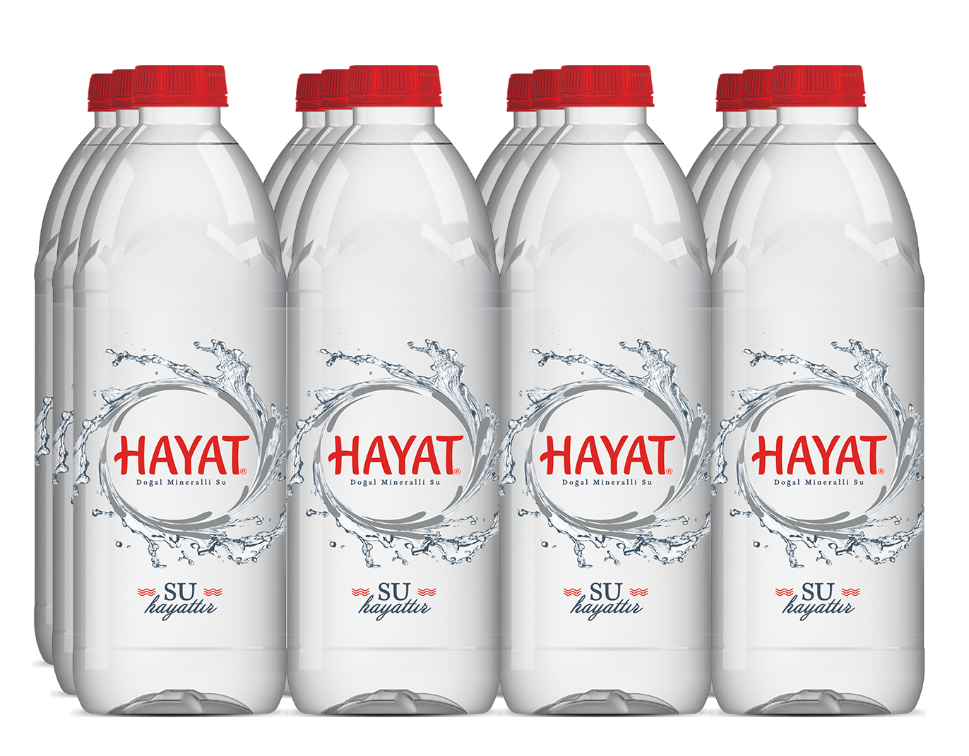 Hayat 1L Premium Pet Su
